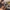 d 631154 mlc114216009431 072026 o.webp