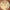 d 764557 mlu76913865252 062024 o.jpg