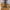 d 799663 mlc116111809649 082026 o.webp