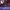 d 859686 mla80788054806 112024 o 1.webp