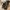 d 871984 mla112261908831 052026 o.webp